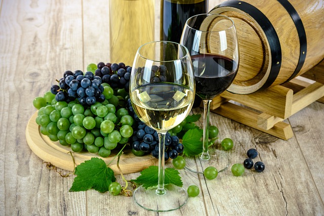 Budapest wine festival